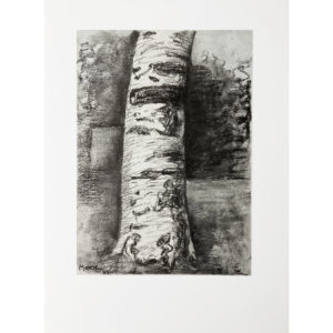Henry Moore - Beech Tree Trunk, 1981