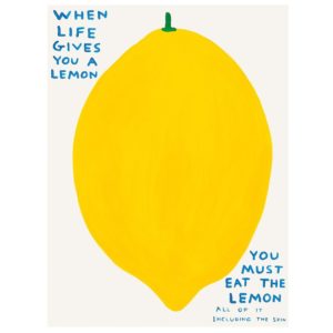 David Shrigley - When Life Gives You A Lemon